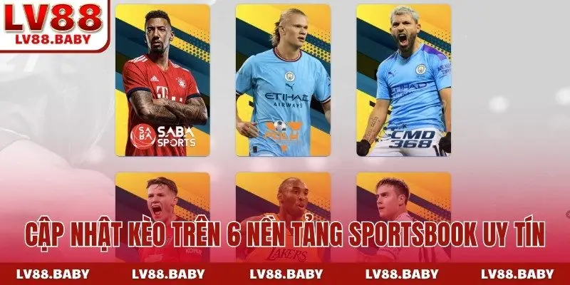 Cập nhật kèo trên 6 nền tảng sportsbook uy tín